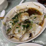 惬意