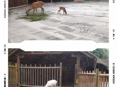 -金沙遗址博物馆