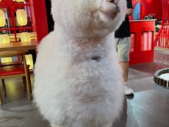 -三顾烤庐·烤鱼·烧烤·龙虾(奉贤店)