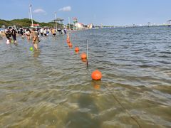 -碧海金沙