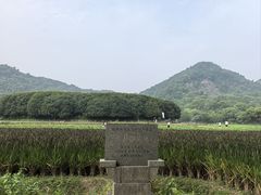 -八卦田遗址公园