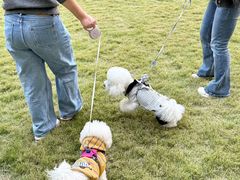 -上海神旺大酒店