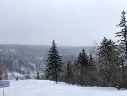 -大秃顶子山