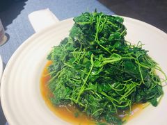 -钱塘秋荷(开鲁路店)