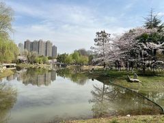 -堤角公园