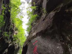 -黑河国家森林公园