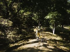 -长白岛森林公园