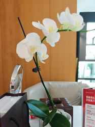 -Yestar重庆艺星医疗美容医院