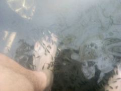 -思念果岭悦温泉