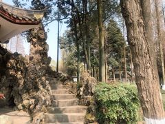 -温江公园