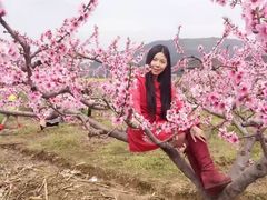 -青林口古镇