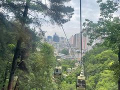 -黔灵山公园