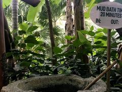 -100蛋泥浆浴