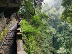 -青城山