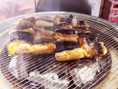 -本炙炭烤·蒲烧活鳗料理店(金沙洲店)