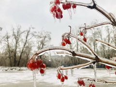 -吉林大学(前卫南校区)