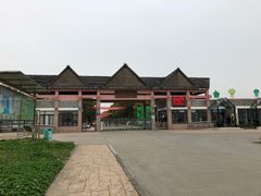-上海都市菜园