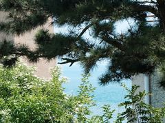-小麦岛公园