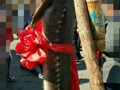 -人民防洪胜利纪念塔