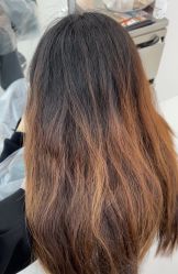 -东方麒麟·潘多拉SALON