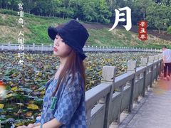 -中山市树木园