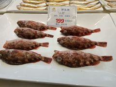 -宁波石浦大饭店(新材料城店)