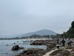 -西涌国际滨海旅游区