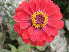 -怡海公园(桂城街道)