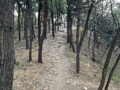 -南山公园