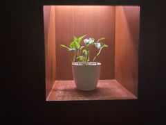 -荣小馆(安达仕店)