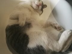 -UNI UNI(环亚凯瑟琳店)