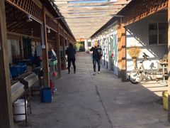 -亲兄弟真人CS团建拓展基地