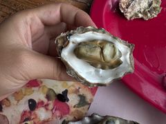 -好伦哥(温都水城店)