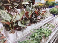 -KKV(重庆东原悦荟主力店)