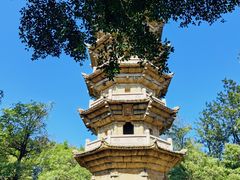 -郑和公园