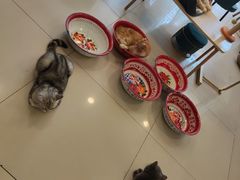 -平行世界·猫咖(首经贸店)
