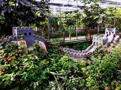 -南宫五洲植物乐园