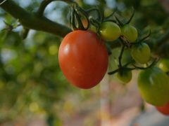 -任达丞国农庄(任达山庄店)