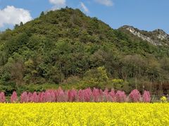 -贵阳市花溪国家城市湿地公园