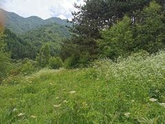 -官滩沟风景区
