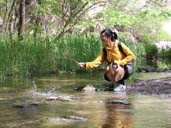 -碓臼峪自然风景区