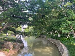 -江心屿景区