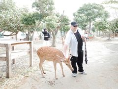 -鹿境梅花鹿生态园区