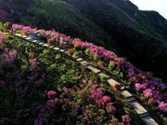 -西湖文化广场