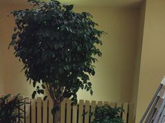 -西贝(六里桥旗舰店)