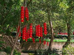 -广州市白云山风景名胜区