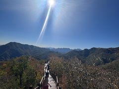 -大岭沟猕猴桃谷风景区