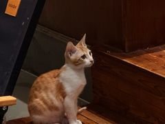 -初甜·舒芙蕾·韩式雪花冰(流塘店)