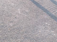-川湘居(鲁家峙鲁滨路店)