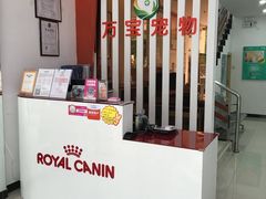 -创凡宠物医院·骨专科  猫科中心(西乡分院)